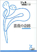 薔薇の奇跡